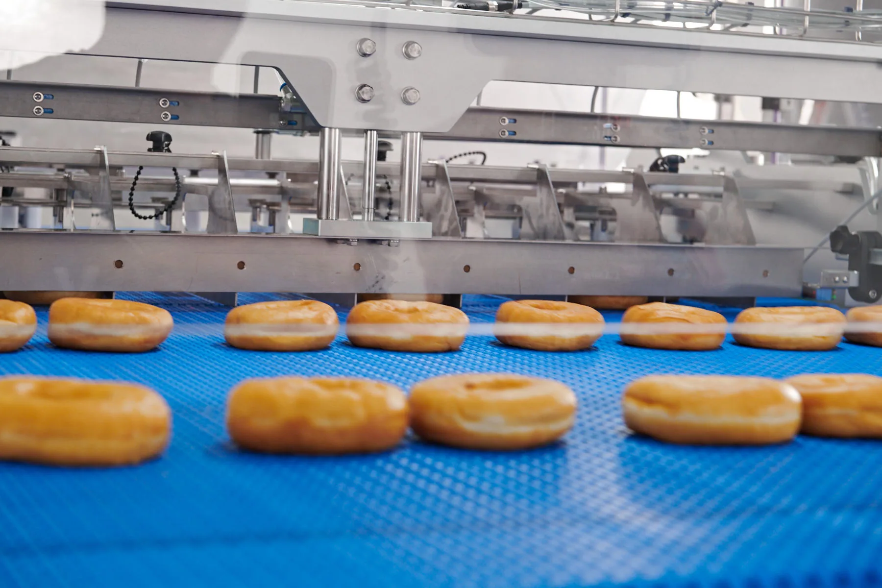 Donuts moving along a blue conveyor beneath sorting equipment